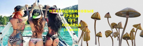 ECSTASY Балахна